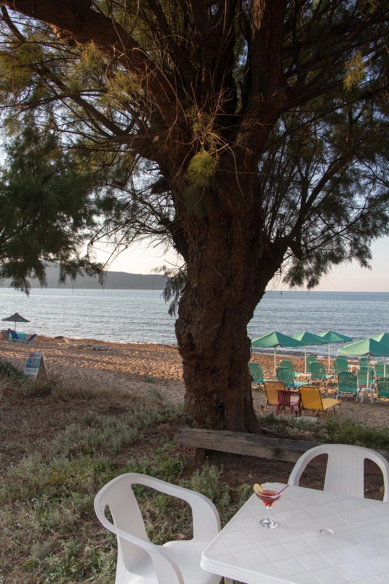 Papidakis Agia Marina